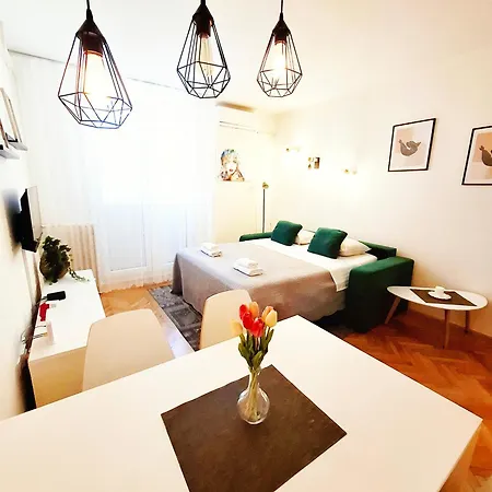 Apartment New Vikttoria *