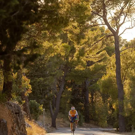 Vikttoria Urban Oasis , Explore With Free Public Parking Split